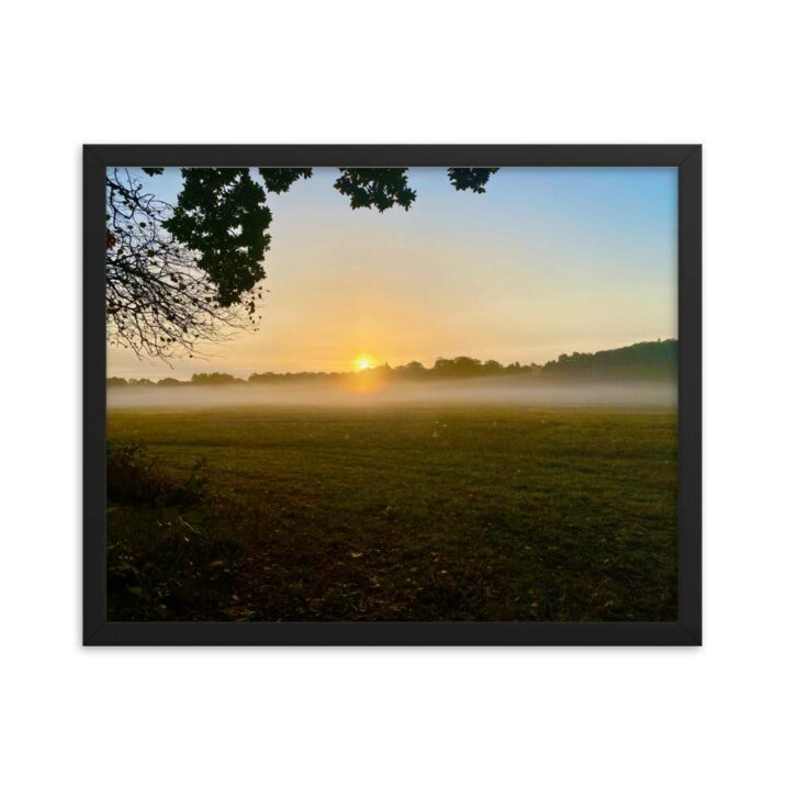 enhanced matte paper framed poster in black 16x20 transparent 630a1aef31f41